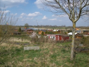 Blick über unseren Kleingarten.