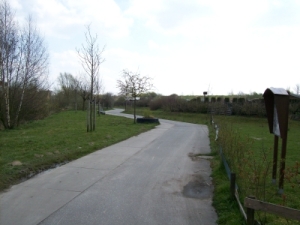 Blick auf einen Weg in unserem Kleingarten
