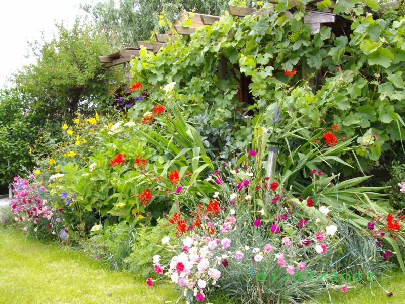 Vorschau Album Blumenmeere