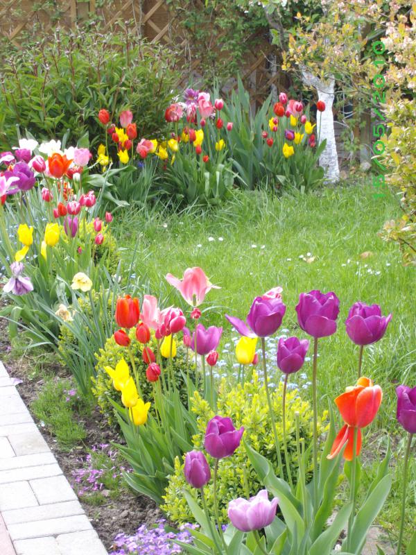 Vorschau Album FrÃ¼hjahr 2010