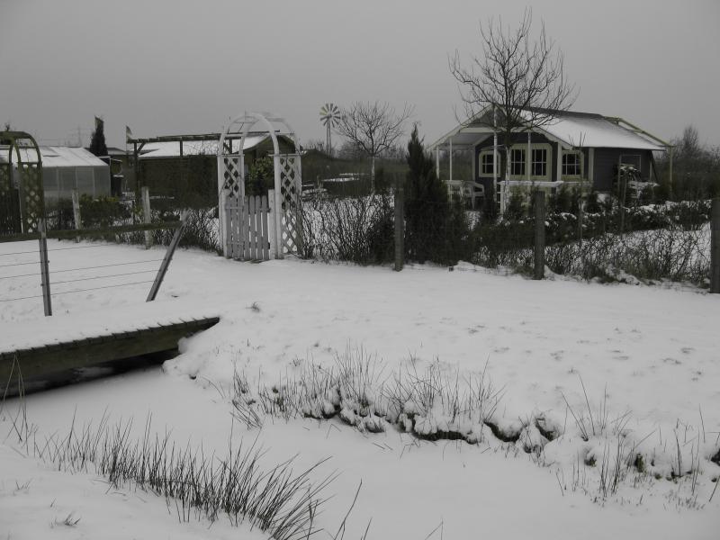 Vorschau Album Winter 2007