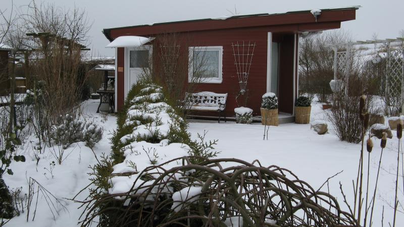 Winter 2007