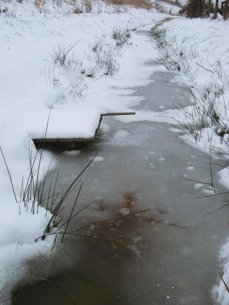 Vorschau Album Winter 2007