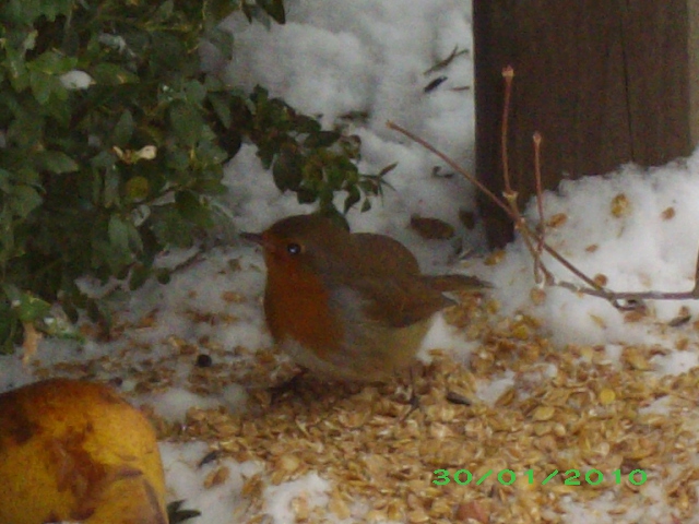 Vorschau Album Winter 2009/2010