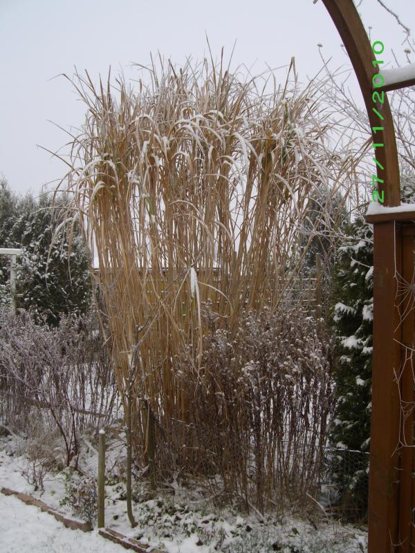 Vorschau Album Winter 2010/2011